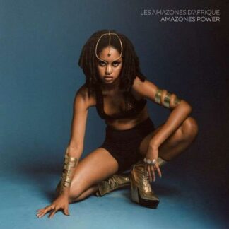Amazones D'afrique - Amazones Power 2LP
