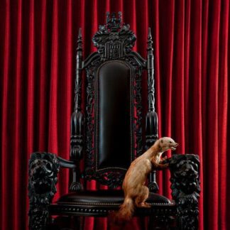Brume - Marten (Red Transparent Vinyl) 1LP