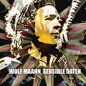 WOLF MAAHN - Sensible Daten