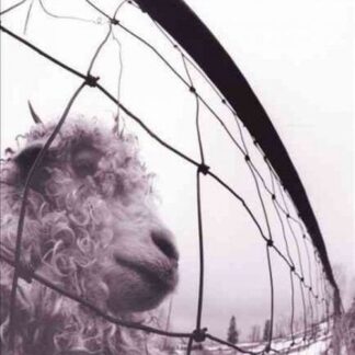 Pearl Jam - Vs. 1LP