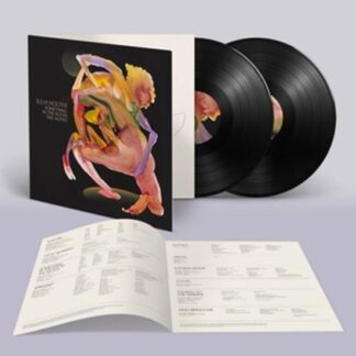 Julia Holter - Something in the Room She Moves 2LP