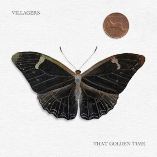 Villagers - That Golden Time 1LP