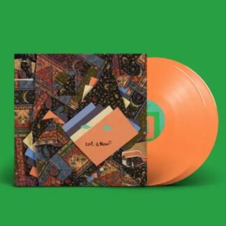 Animal Collective - Isn't It Now? 2LP