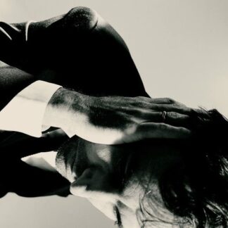 Andrew Bird - Inside Problems 1LP
