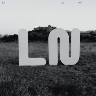 Local Natives - But Ill Wait For You 1LP