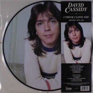 David Cassidy - I Think I Love You - Greatest Hits Live 1LP