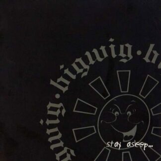 Bigwig - Stay Asleep 1LP