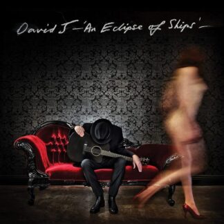David J - An Eclipse Of Ships (Silver Vinyl) 1LP