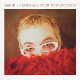 David J - Embrace Your Dysfunction 1LP