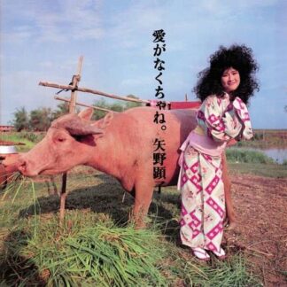 Akiko Yano - Ai Ga Nakucha Ne 1LP