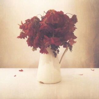 Lion And The Wolf - Cardiac Hotel 1LP