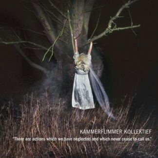 Kammerflimmer Kollektief - There Are Actions Which We Have Neglected 2LP