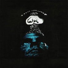 Arbor Labor Union (formarly Pinec Ones) - I Hear You 2LP