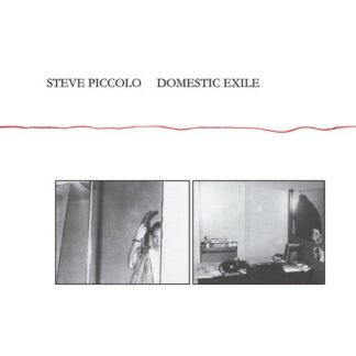 Steve Piccolo - Domestic Exile 1LP