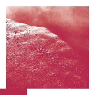 David Allred - The Cell 1LP