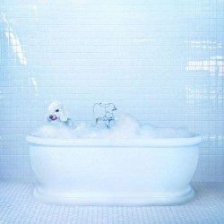 Frankie Cosmos - Vessel 1LP