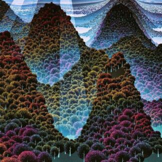 Wang Wen - 100.000 Whys 2LP
