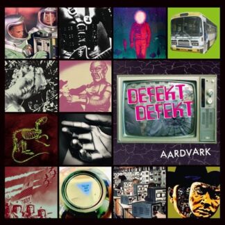 Defekt Defekt - Aardvark 1LP
