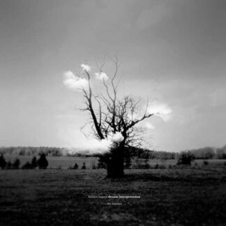 Kazuya Nagaya - Dream Interpretation (The Remixes) 3LP