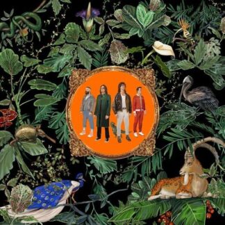 Don Broco - Amazing Things 1LP