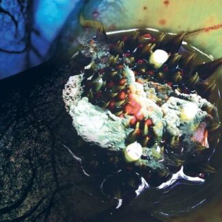 Julia Reidy - In Real Life 1LP