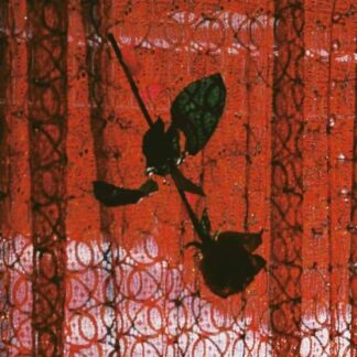Studio Mule - Visible Cloak 12LP