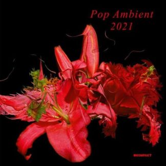 Compilation - Pop Ambient 2021 1LP