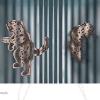 Kamron Saniee - Euphoric Studies 1LP