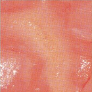 KLÄMP - Hate You 1LP