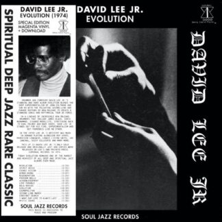 David Lee Jr. - Evolution 1LP