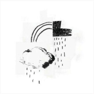 Damien Jurado - In the Shape of a Storm 1LP