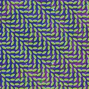 Animal Collective - Merriweather Post Pavillion 2LP