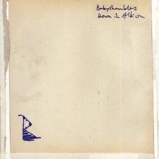 Babyshambles - Down In Albion 2LP