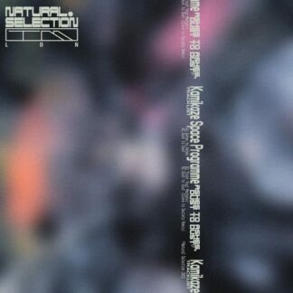 Kamikaze Space Programme - Ashes to Ashes, Dust to Dust EP 1LP