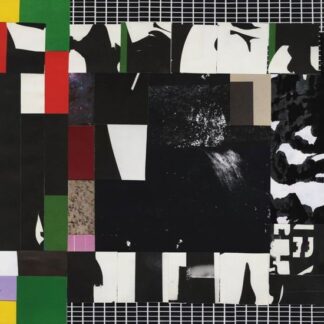 Kinkajous - Nothing Will Dissapear 1LP