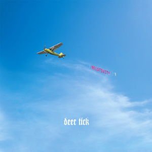 Deer Tick - Negativity 2LP