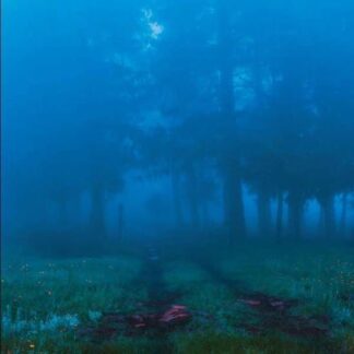 Various Commune - Commune 1LP