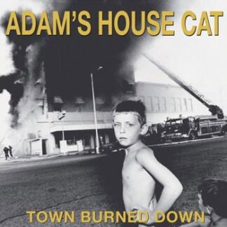 Adam's House Cat - World Burned Down 1LP