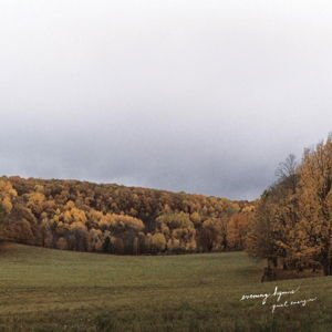 Evening Hymns - Quiet Energies 1LP