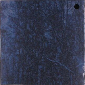 Jesus Jones - Never 1LP