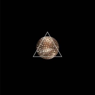 Actress X London Contemporary Orchestra - Audio Track 5 1LP