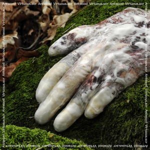 Antwood - Virtuous.scr 1LP