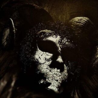 Sheidim - Shrines Of The Void 1LP