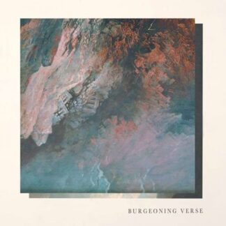 Ben Chisholm & Felix Skinner - Burgeoning Verse 1LP