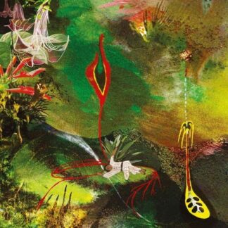 Tomas Tello - Cimora 1LP
