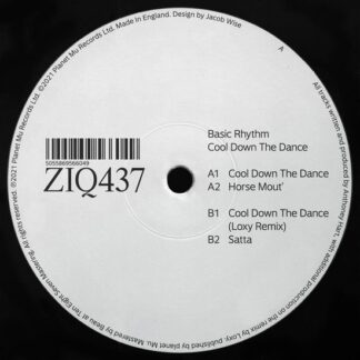 Basic Rhythm - Cool Down The Dance 1LP