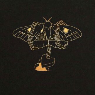 David Gray - Gold in a Brass Age 2LP