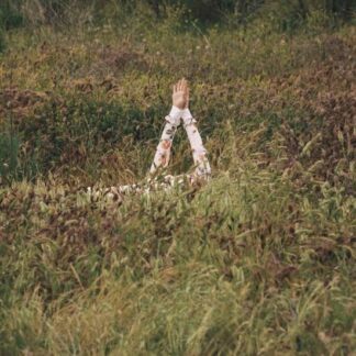 Verite - New Skin 1LP