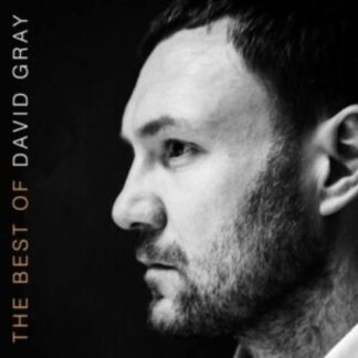 David Gray - The Best Of David Gray 2LP
