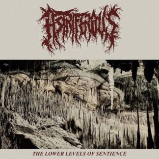 Astriferous - The Lower Levels of Sentience 1LP